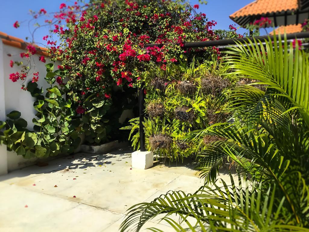 Casa Ines Acomodação com café da manhã Santa Marta  Exterior foto