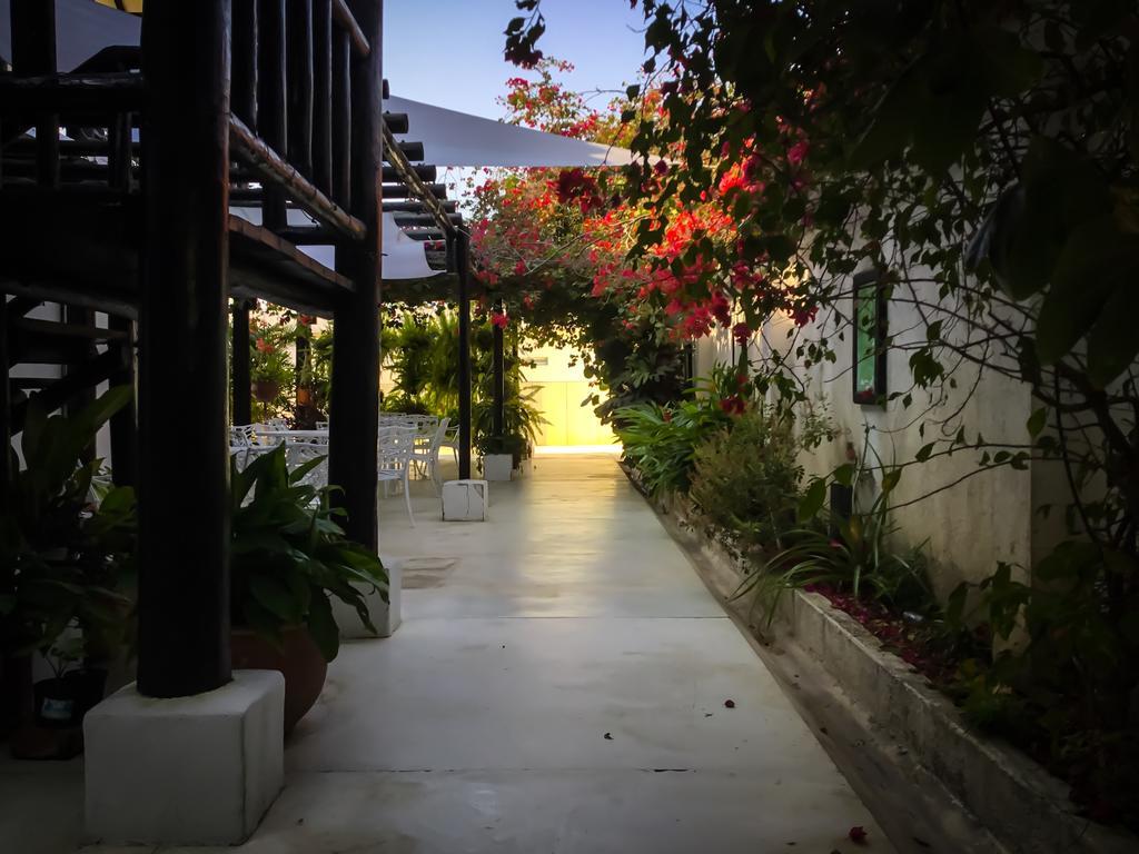 Casa Ines Acomodação com café da manhã Santa Marta  Exterior foto